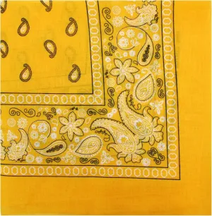 Novelty Bandanas Paisley Cotton Bandanas Single Pack